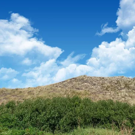 In With Wellness Nyaraló