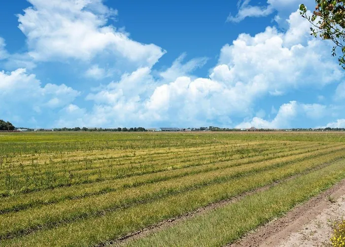 In With Wellness 칼란트소그